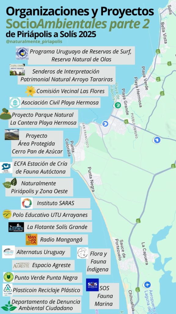 PHOTO-2025-01-23-22-34-31 | Ambienta