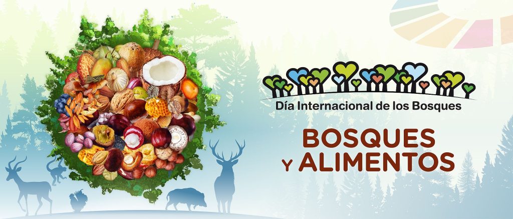 banner-idf25---2100x1708px---esv2 | Ambienta