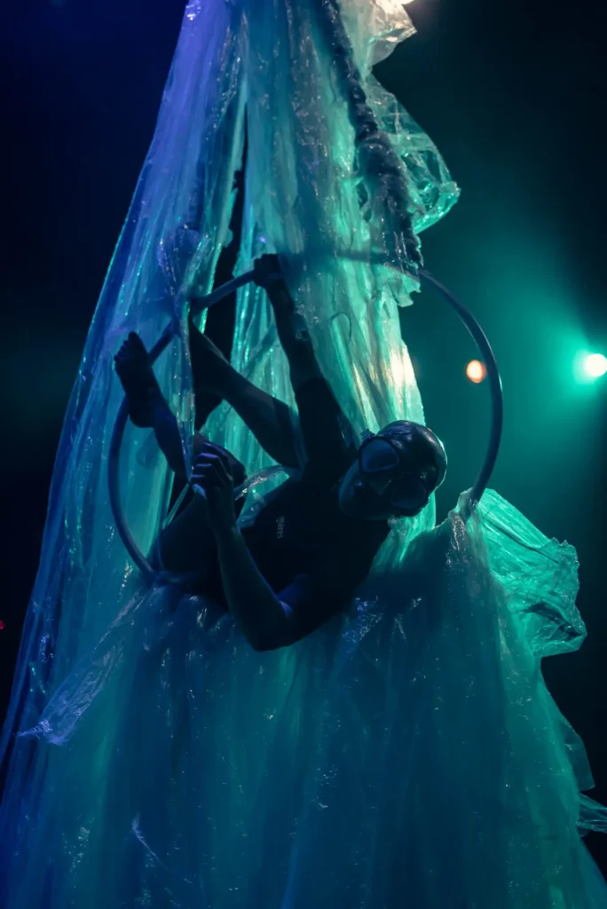 Polietileno de baja densidad (LDPE) y otros plásticos usados en la obra Plastikus.