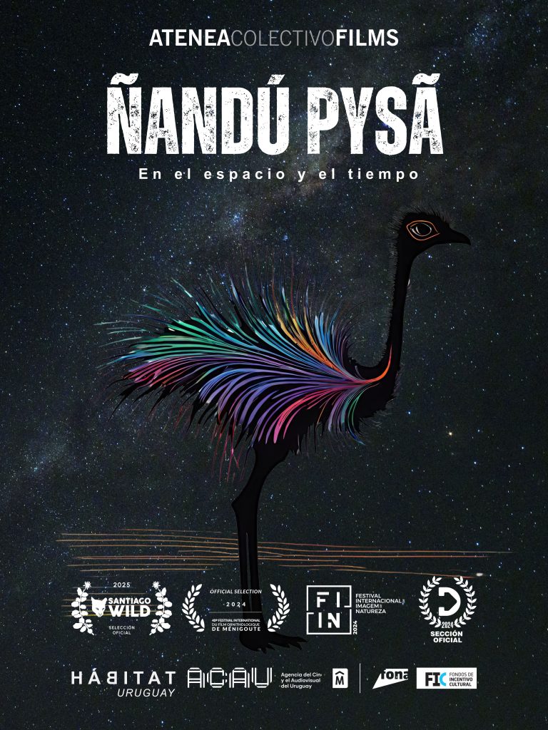 AFICHE NANDU PYSA | Ambienta