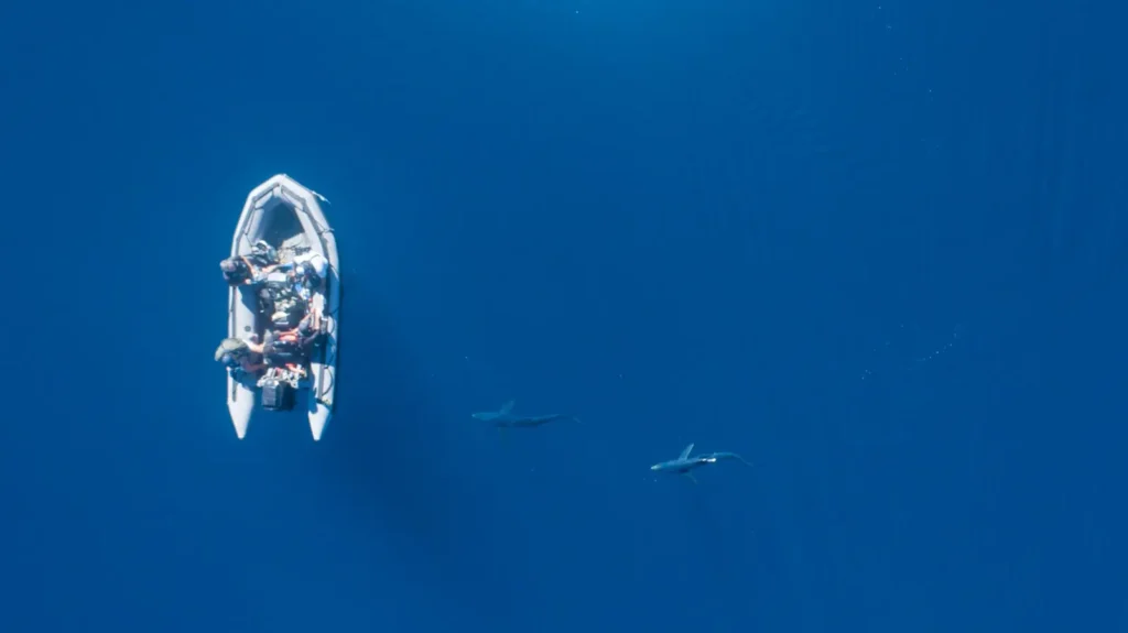 Expedicion-de-National-Geographic-en-Uruguay.-Foto-National-Geographic-Society | Ambienta Expedición de National Geographic: el valor de la vida marina de Uruguay ante el debate sobre el petróleo.