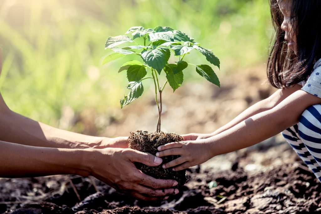 Asian little girl helping his father to plant the tree in the ga | Ambienta