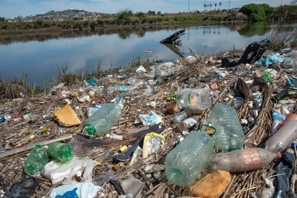 Contaminación plástica en el Arroyo Pantanoso de Montevideo.
