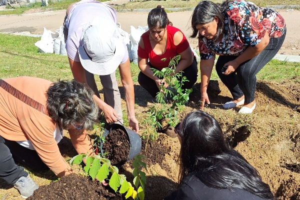 bosques cooperativa | Ambienta