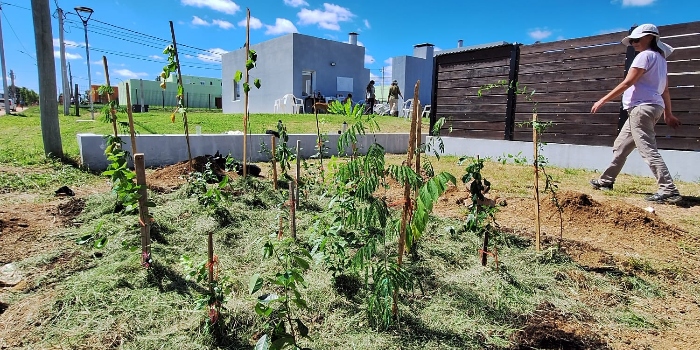 utec_durazno | Ambienta