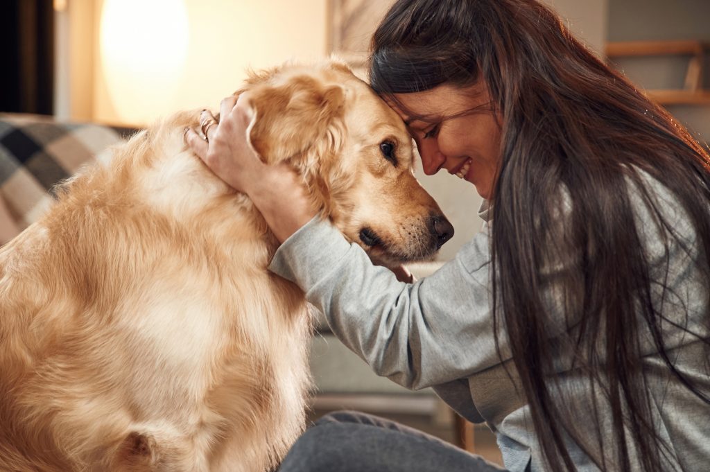 Close up view, portrait. Woman is with golden retriever dog at home | Ambienta