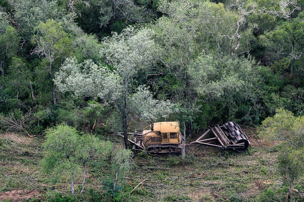 a68bfb8a-desmontes-chaco-07-©-martin-katz-_-greenpeace-1536x1024 | Ambienta