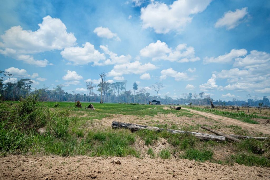 La Corte Interamericana de Derechos Humanos reconoce el deber de proteger a la Naturaleza