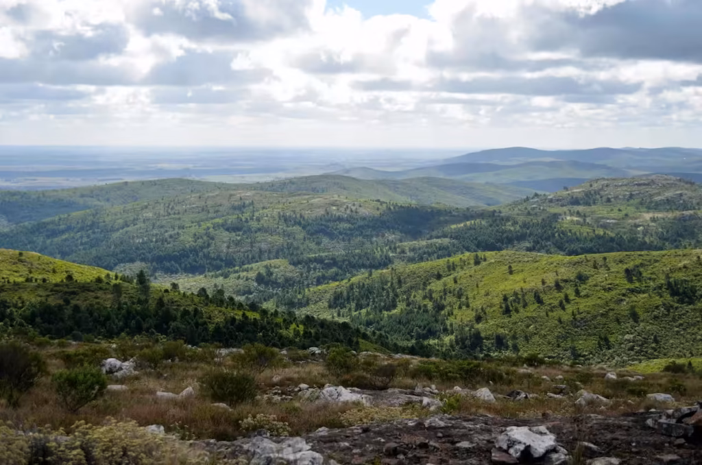 Paisaje natural en las Sierras de Maldonado, Uruguay, foco de proyectos de restauración ecológica.