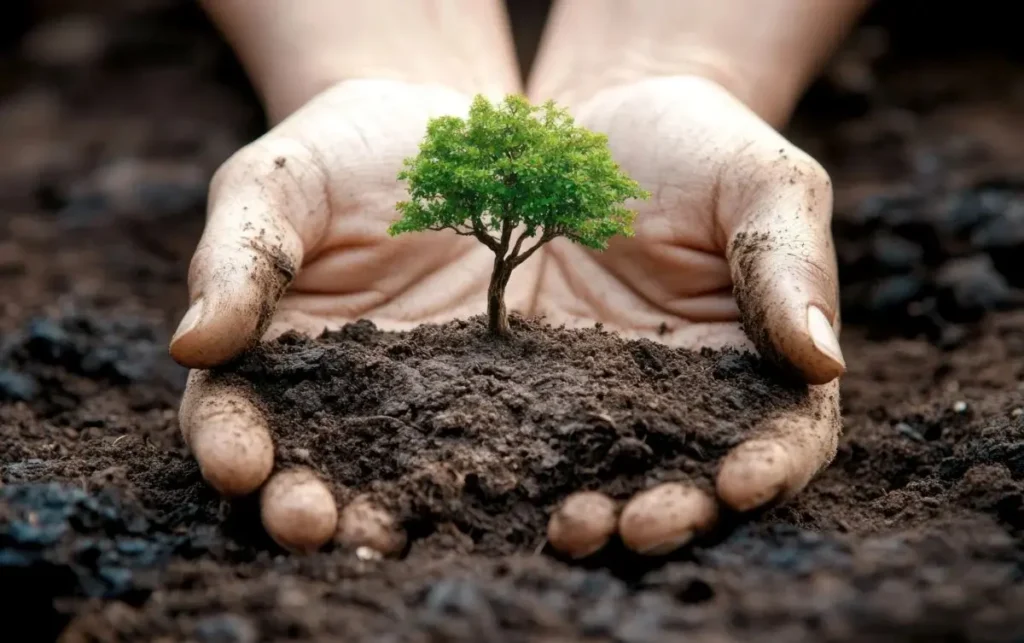 Mano sosteniendo tierra fértil con un pequeño árbol, simbolizando la vida y la conexión con la Tierra.