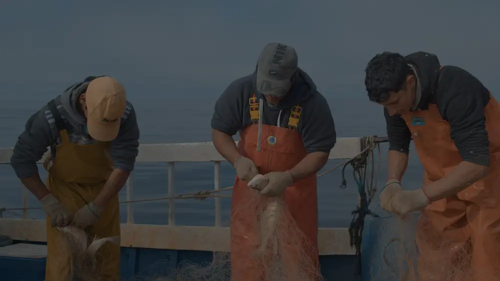Pescadores trabajando en cubierta, sacando pescado de las redes, parte de la narrativa de Agua Invadida.