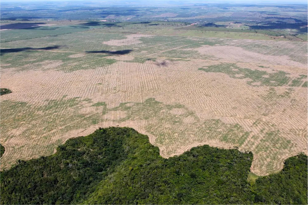 Deforestación severa en Maranhão, Brasil. Imagen ilustra el desafío de la deforestación en el área del COP30.