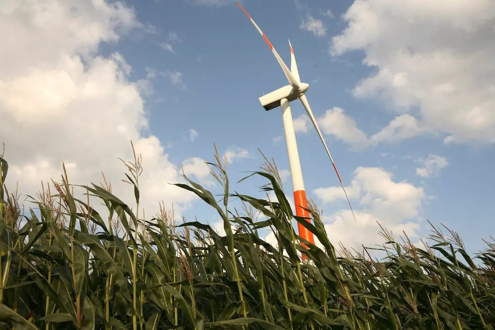 Transición energética como medida clave en la Cumbre del Clima.