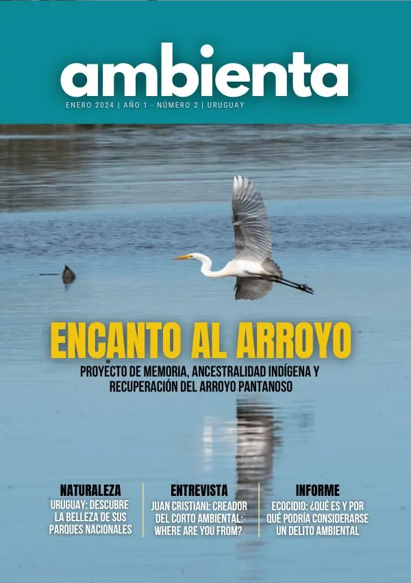 Tapa de la Revista Ambienta, edición Enero 2024. Fotografía de una Garza Blanca volando sobre el agua, con el titular principal "Encanto al Arroyo: Proyecto de Memoria, Ancestralidad Indígena y Recuperación del Arroyo Pantanoso.