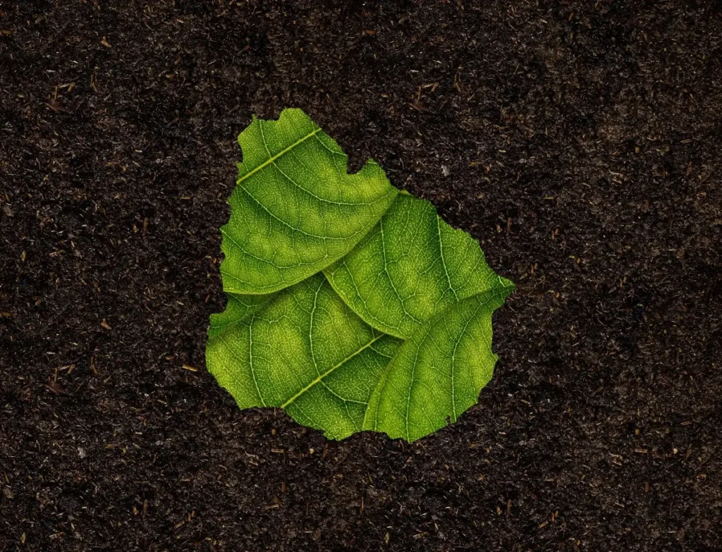 Mapa de Uruguay formado por hojas verdes sobre tierra, simbolizando la protección del ambiente en el país y la agenda de la INDDHH.