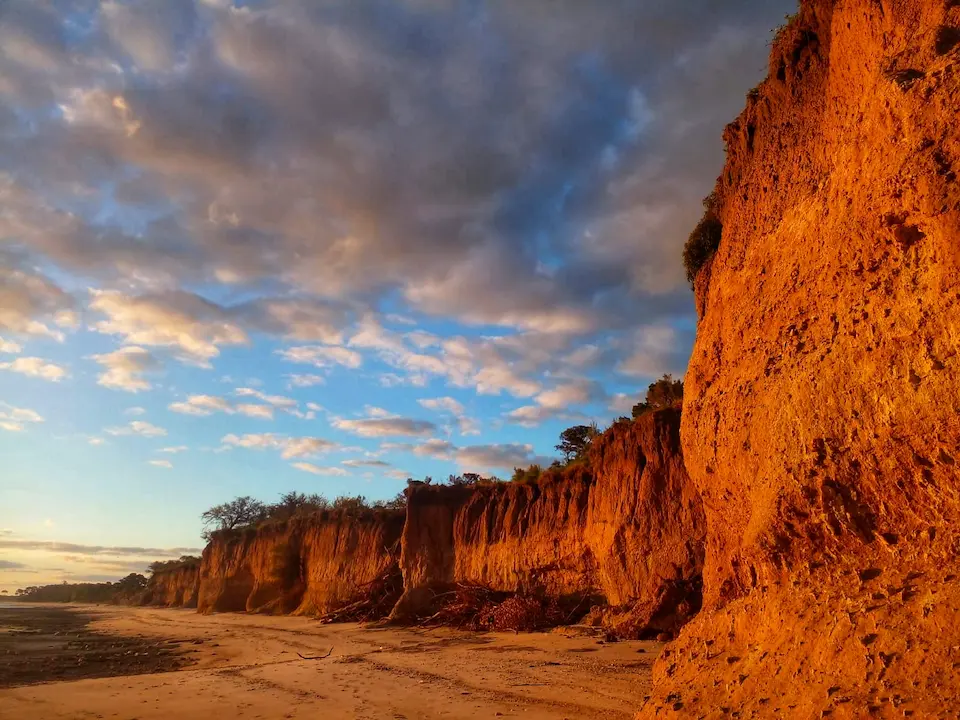 Piden Proteger Las Barrancas De Kiyú Y Arazatí Ante Su Creciente Vulnerabilidad Formación costera en las Barrancas de Kiyú y Arazatí.
