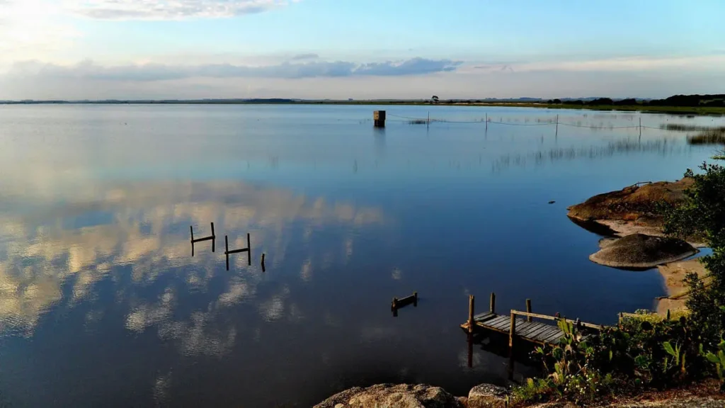 dia-mundial-humedales-uruguay-2026-laguna-negra | Ambienta Paisaje de la Laguna Negra en los Bañados del Este durante el Día Mundial de los Humedales 2026 en Uruguay.