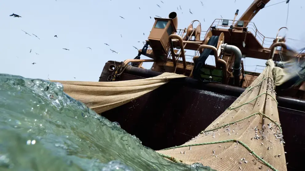 Uruguay Un Gigante Marítimo Sin Barcos Para Conocer Su Propio Océano Barco de arrastre industrial levantando redes cargadas de peces en el océano Atlántico, ilustrando el impacto de la sobrepesca.