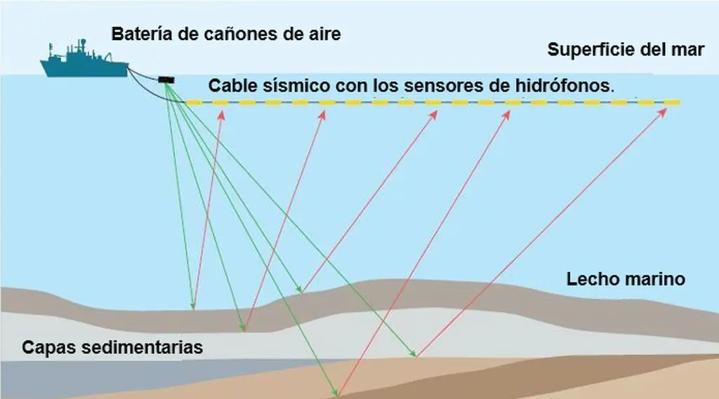Diagrama de prospección sísmica marina 3D con cañones de aire y cables de hidrófonos.
