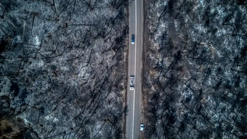 Vista aérea de un bosque carbonizado tras los incendios forestales 2026