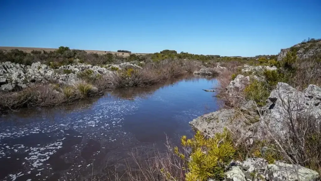 Vista del Arroyo Casupá en Florida, mostrando la flora nativa, el entorno de serranías y el curso de agua dulce amenazado por el proyecto de embalse en Uruguay.