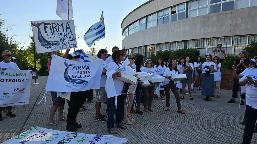 Cajas y carpetas con las más de 34.000 firmas físicas entregadas por los vecinos ante la Junta Departamental de Maldonado.