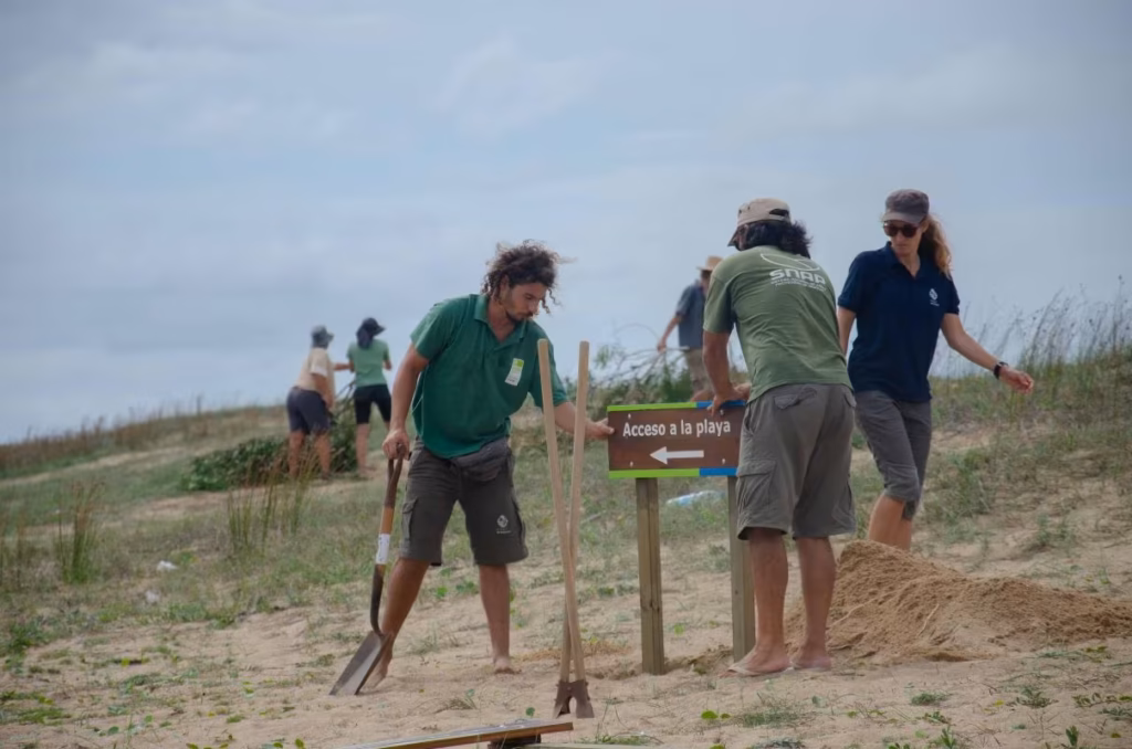 Voluntarios realizando tareas de restauración dunar en Laguna Garzón, una oportunidad clave de financiamiento para proyectos ambientales en Uruguay.