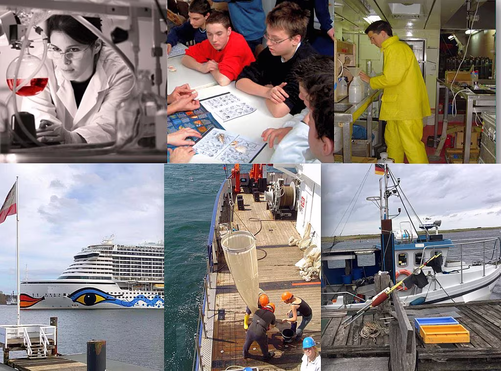 Mosaico sobre oceanología para la sustentabilidad: investigación en laboratorio, educación ambiental con jóvenes, trabajo en buques científicos y monitoreo marino.