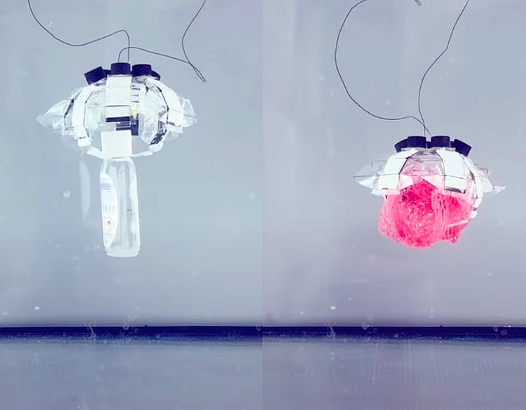 qué Puede Enseñarnos El Mar Medusas robóticas inspiradas en la biomimética transportan pequeños objetos