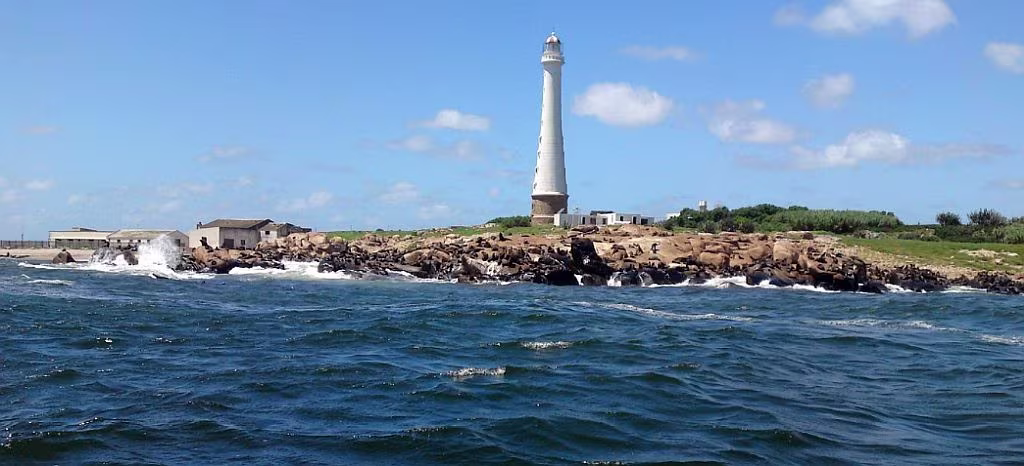 Punta Del Este Lo Que Los Lobos Marinos Nos Están Diciendo Isla de Lobos y su faro frente al hábitat de los lobos marinos en Punta del Este