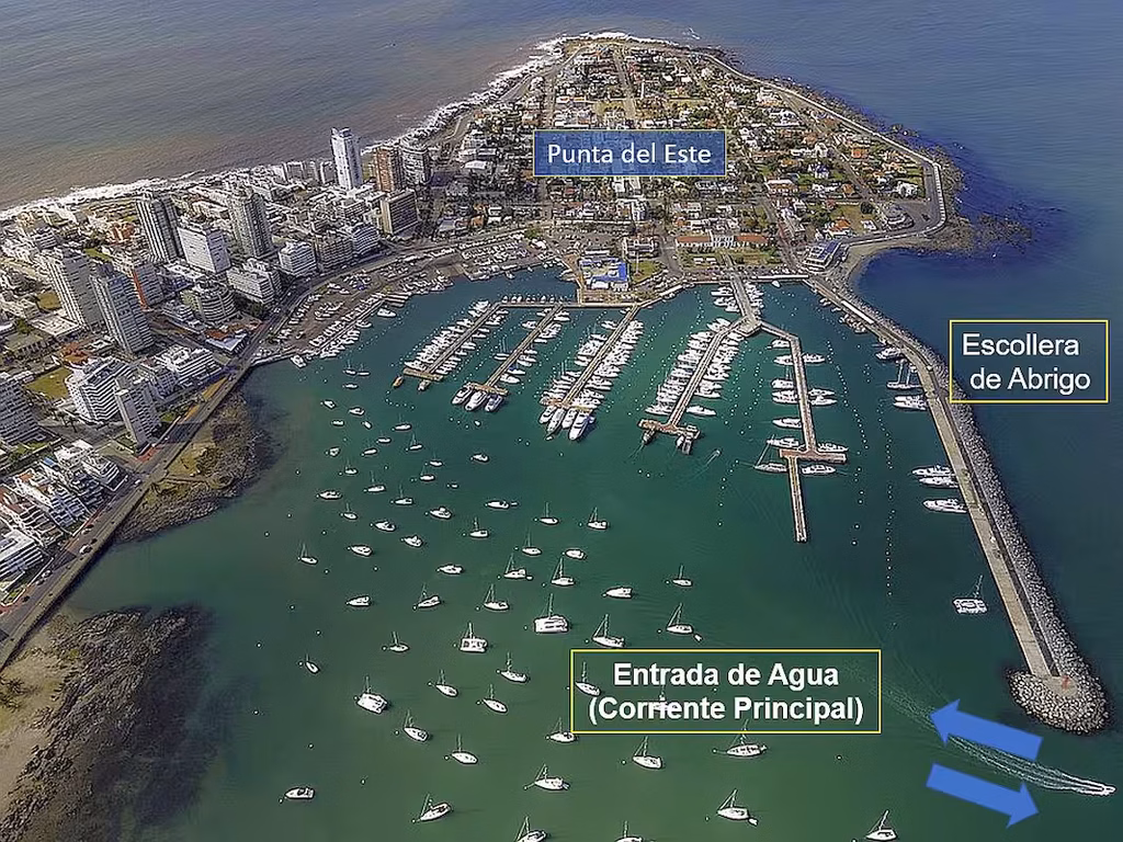 Punta Del Este Lo Que Los Lobos Marinos Nos Están Diciendo Vista aérea del puerto de Punta del Este, sus muelles, dársenas y escollera