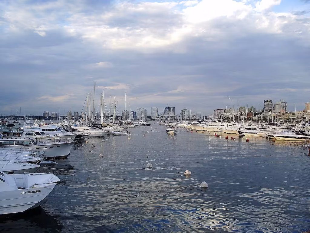Punta Del Este Lo Que Los Lobos Marinos Nos Están Diciendo Vista del agua y las embarcaciones en el puerto de Punta del Este